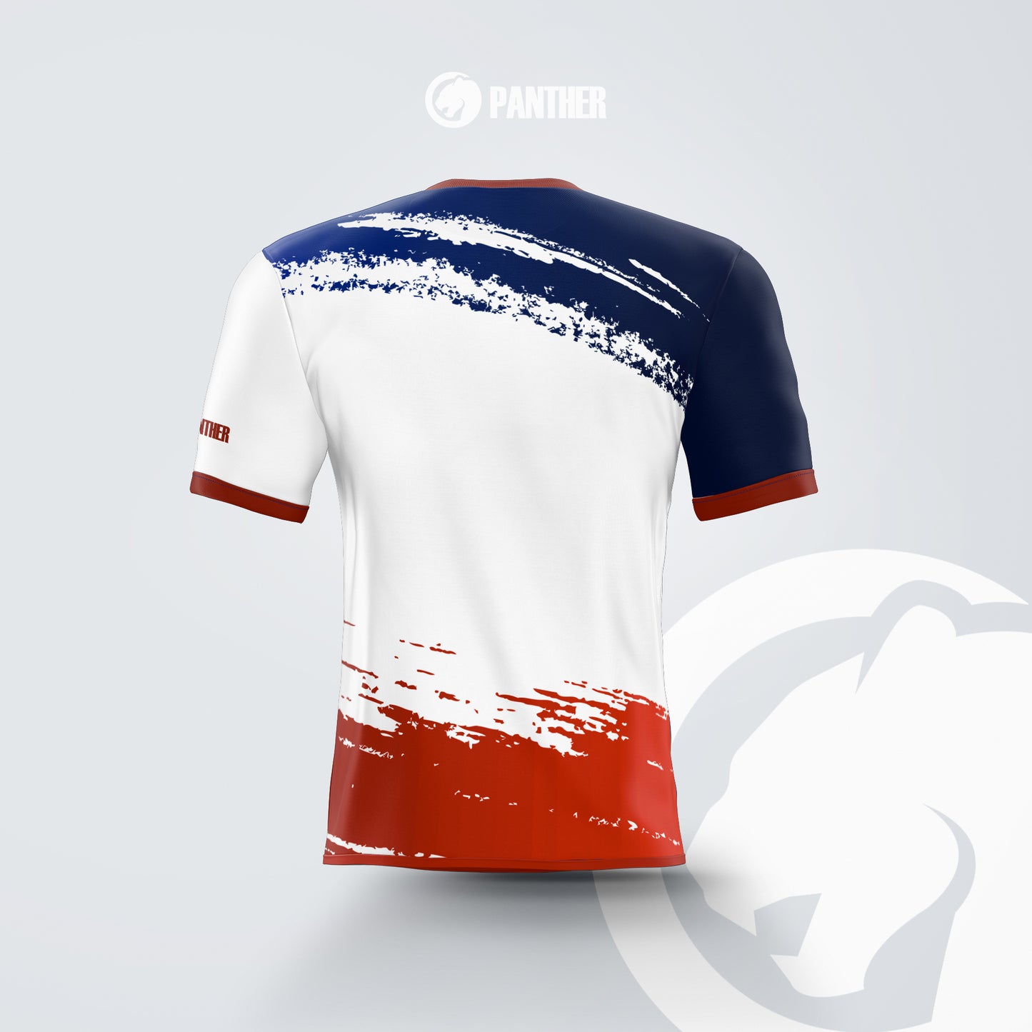 France Flag