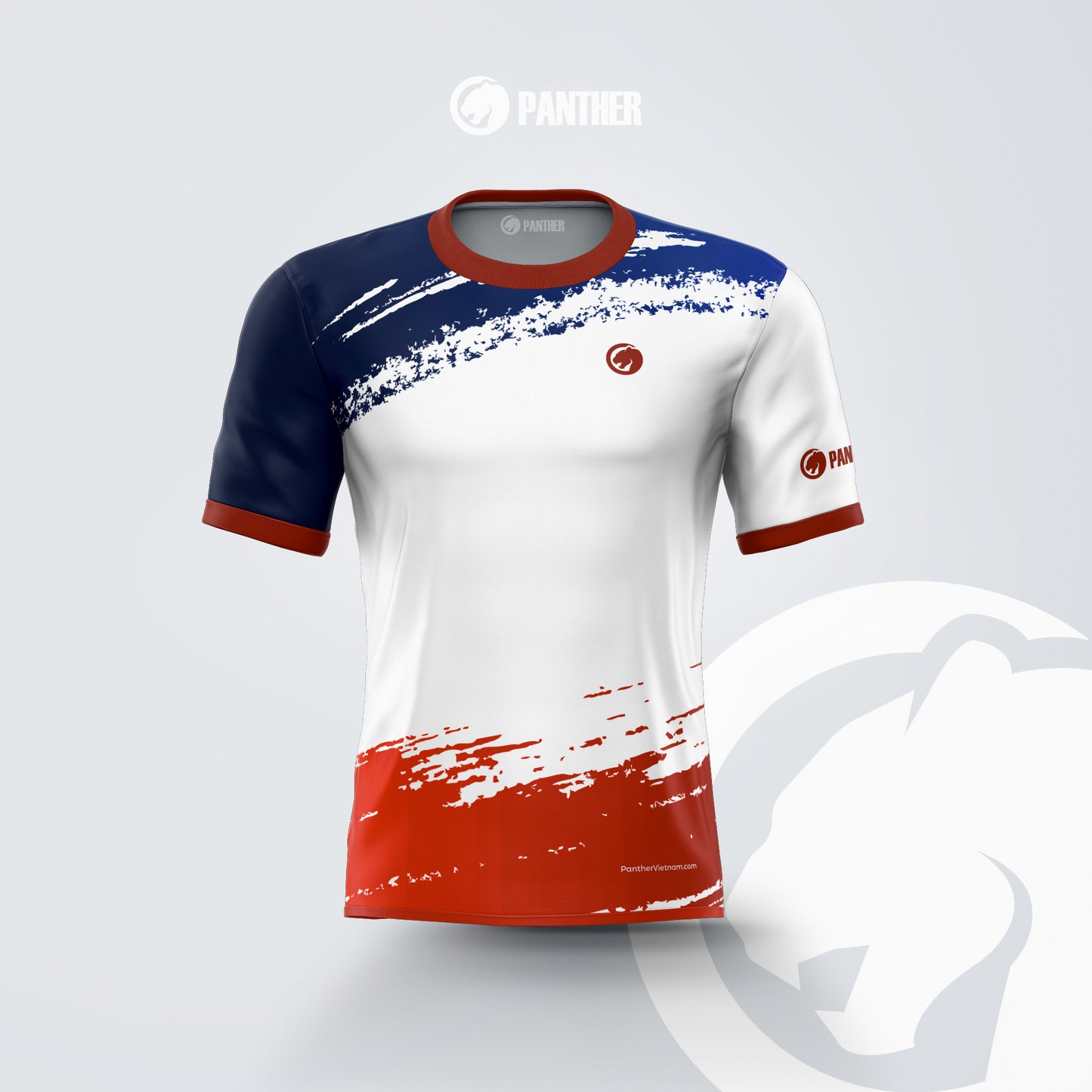 France Flag